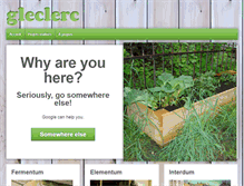 Tablet Screenshot of gleclerc.com